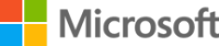 Full time / partner technology strategist