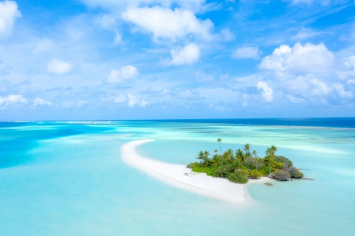 banner_34028170963.jpg